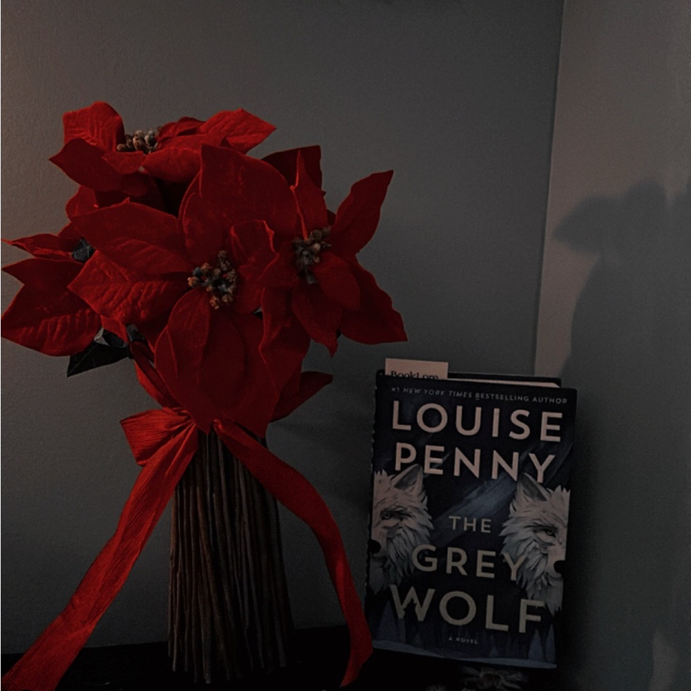 Mystery book box